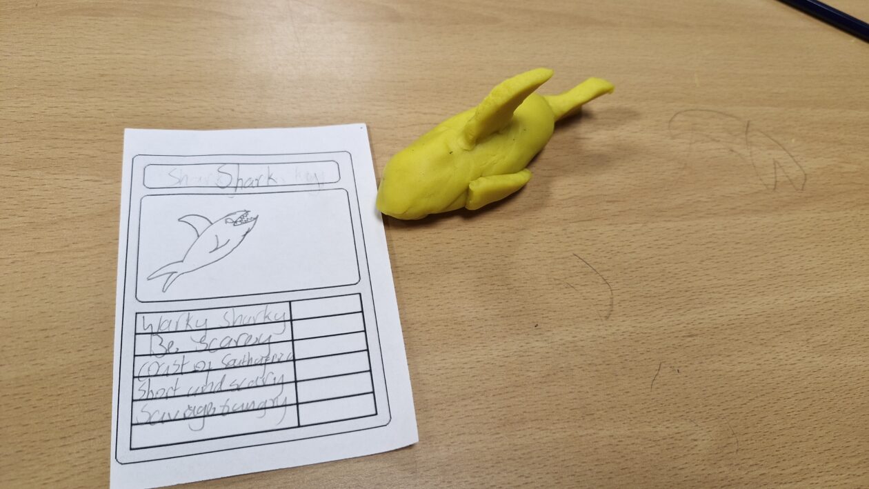 🌊 S2 “Sea Story” Days at Kirkcaldy High School: A Dive into Ocean Conservation🌊
