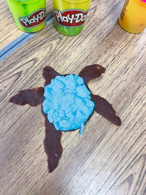 🌊 S2 “Sea Story” Days at Kirkcaldy High School: A Dive into Ocean Conservation🌊