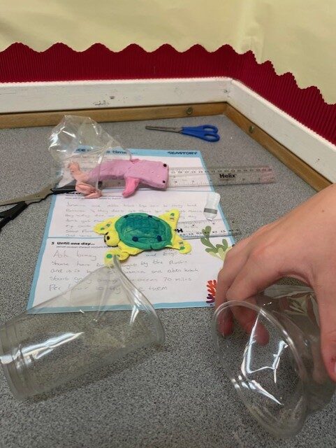 🌊 S2 “Sea Story” Days at Kirkcaldy High School: A Dive into Ocean Conservation🌊