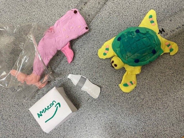 🌊 S2 “Sea Story” Days at Kirkcaldy High School: A Dive into Ocean Conservation🌊