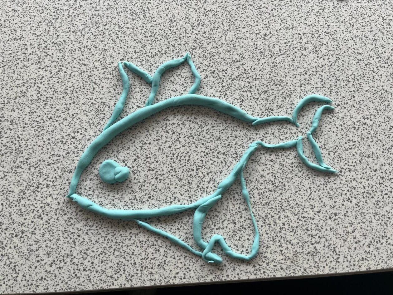 🌊 S2 “Sea Story” Days at Kirkcaldy High School: A Dive into Ocean Conservation🌊