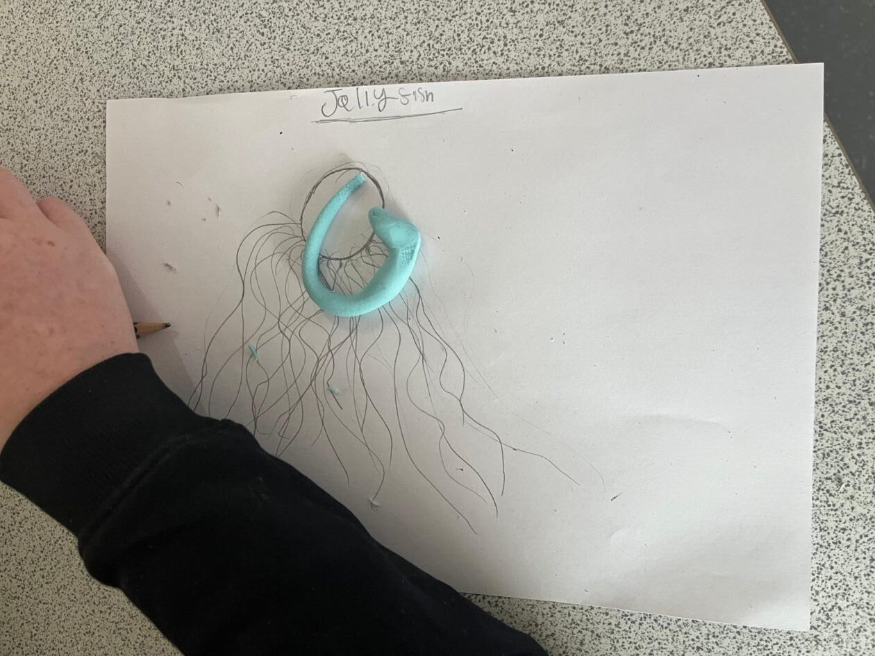 🌊 S2 “Sea Story” Days at Kirkcaldy High School: A Dive into Ocean Conservation🌊