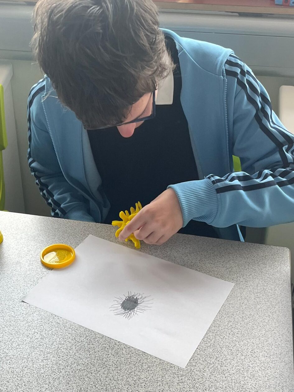 🌊 S2 “Sea Story” Days at Kirkcaldy High School: A Dive into Ocean Conservation🌊