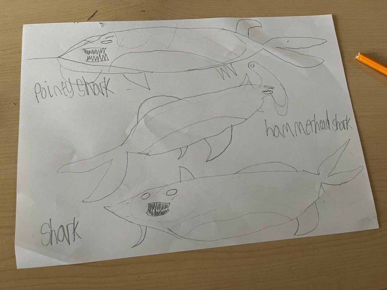 🌊 S2 “Sea Story” Days at Kirkcaldy High School: A Dive into Ocean Conservation🌊