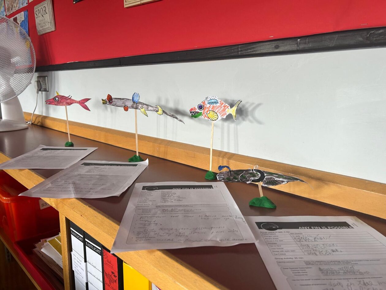 🌊 S2 “Sea Story” Days at Kirkcaldy High School: A Dive into Ocean Conservation🌊