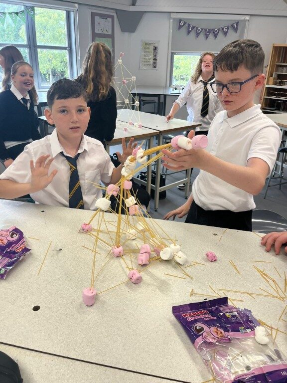 S1 Build the Tallest Tower