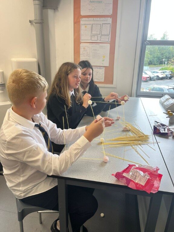 S1 Build the Tallest Tower