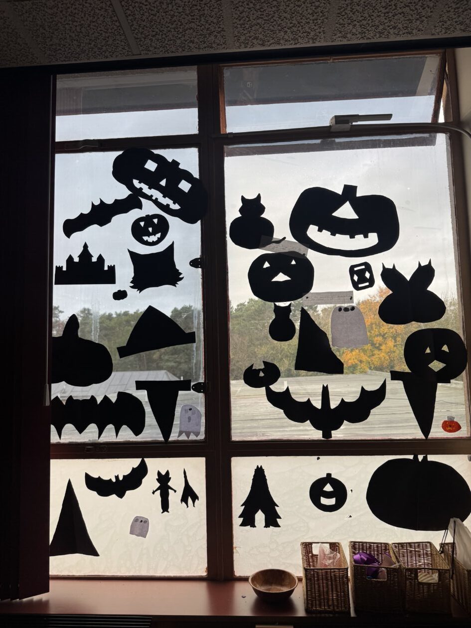 Spooky Shapes in Supported Learning 👻