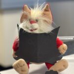 Spooky Shapes in Supported Learning 👻