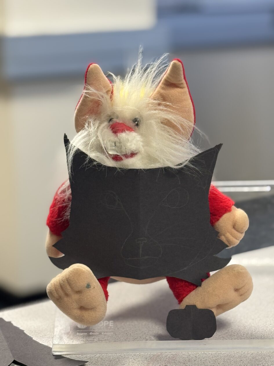 Spooky Shapes in Supported Learning 👻