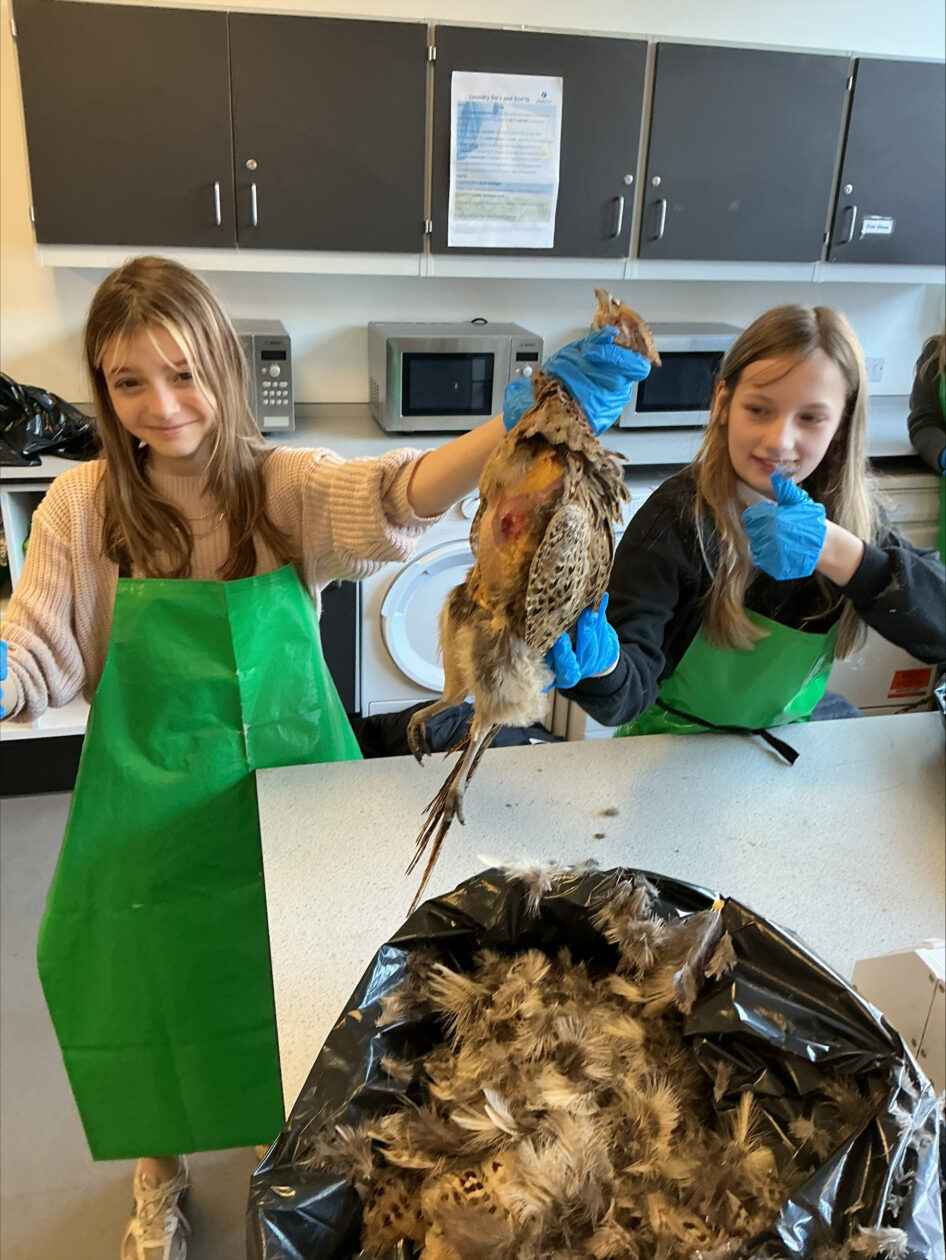 Learning to Prepare Game Meat