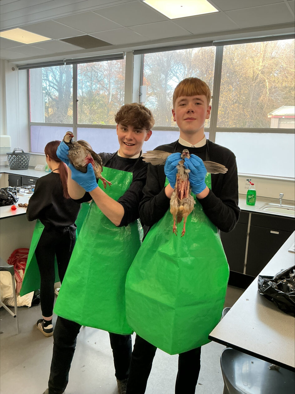 Learning to Prepare Game Meat