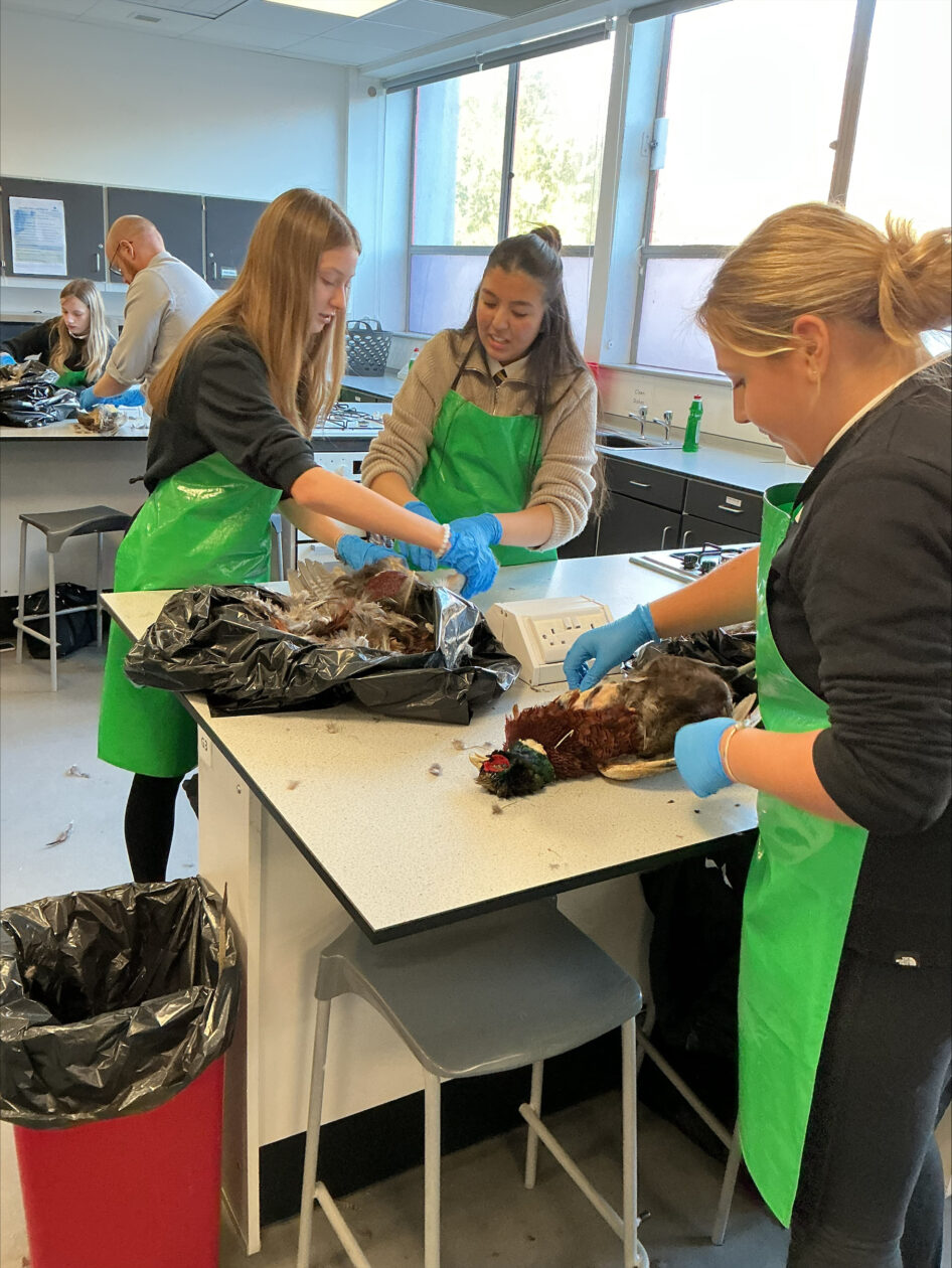 Learning to Prepare Game Meat