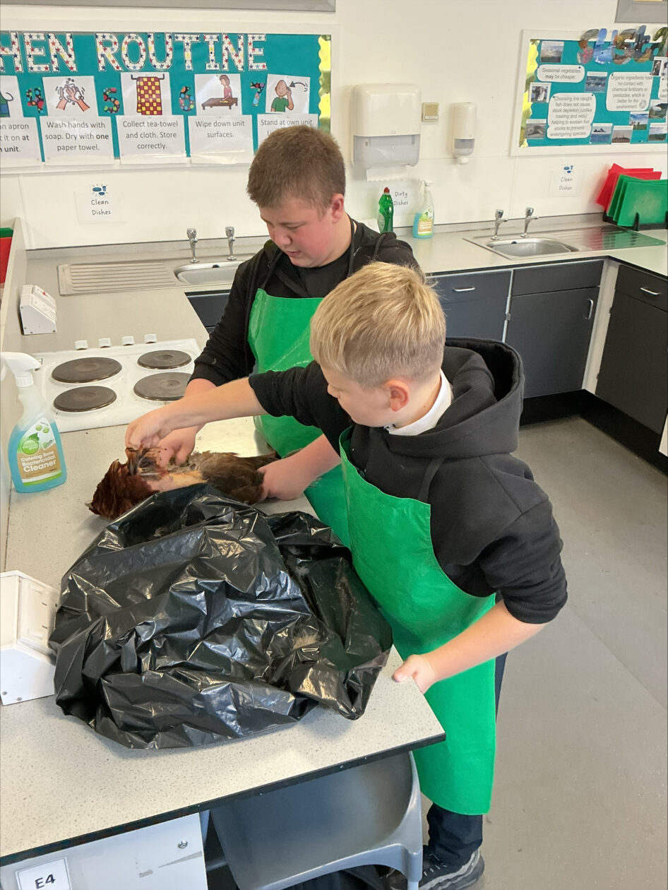 Learning to Prepare Game Meat