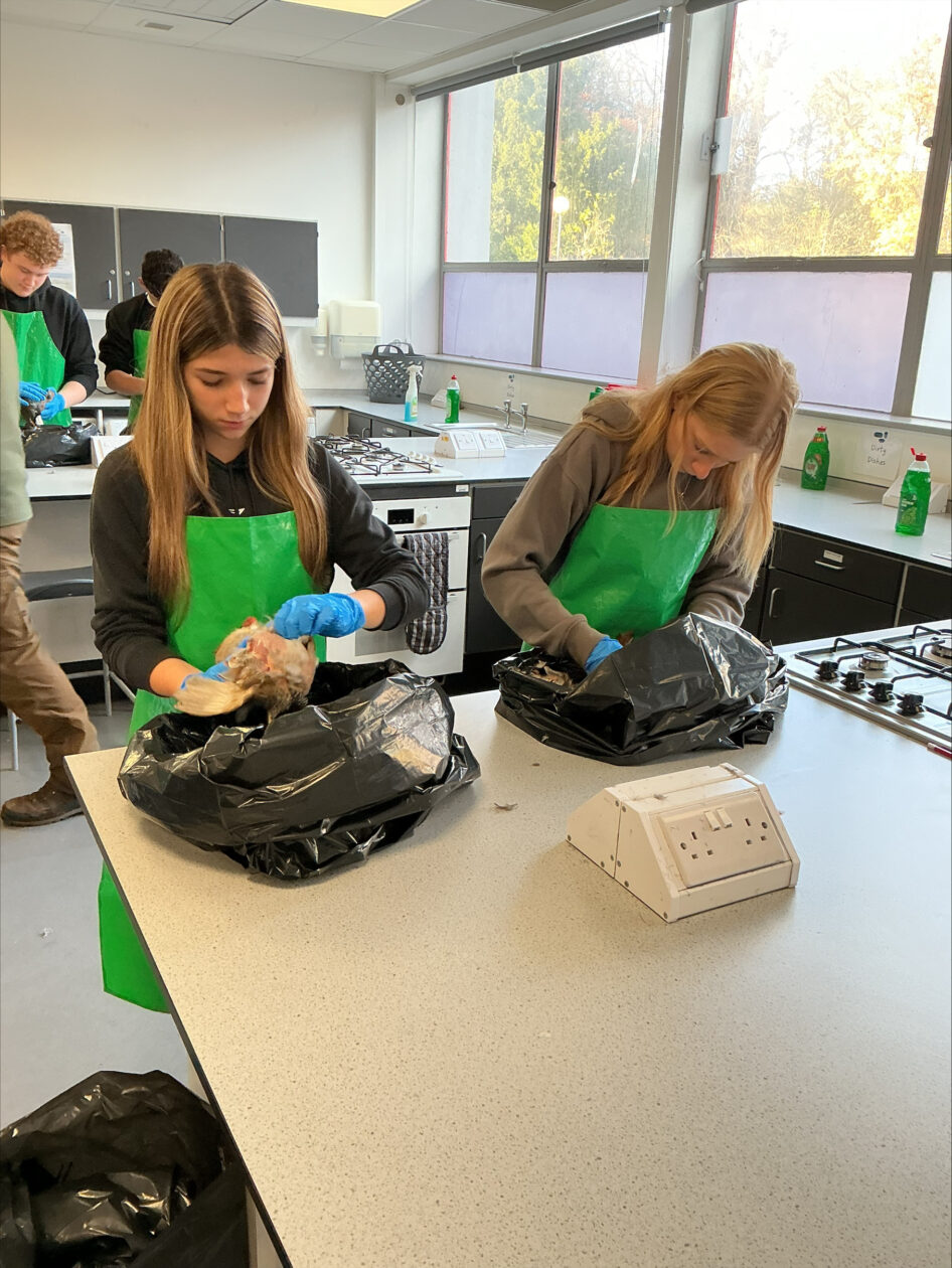 Learning to Prepare Game Meat