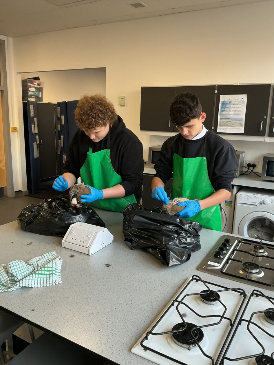 Learning to Prepare Game Meat