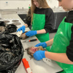 Learning to Prepare Game Meat