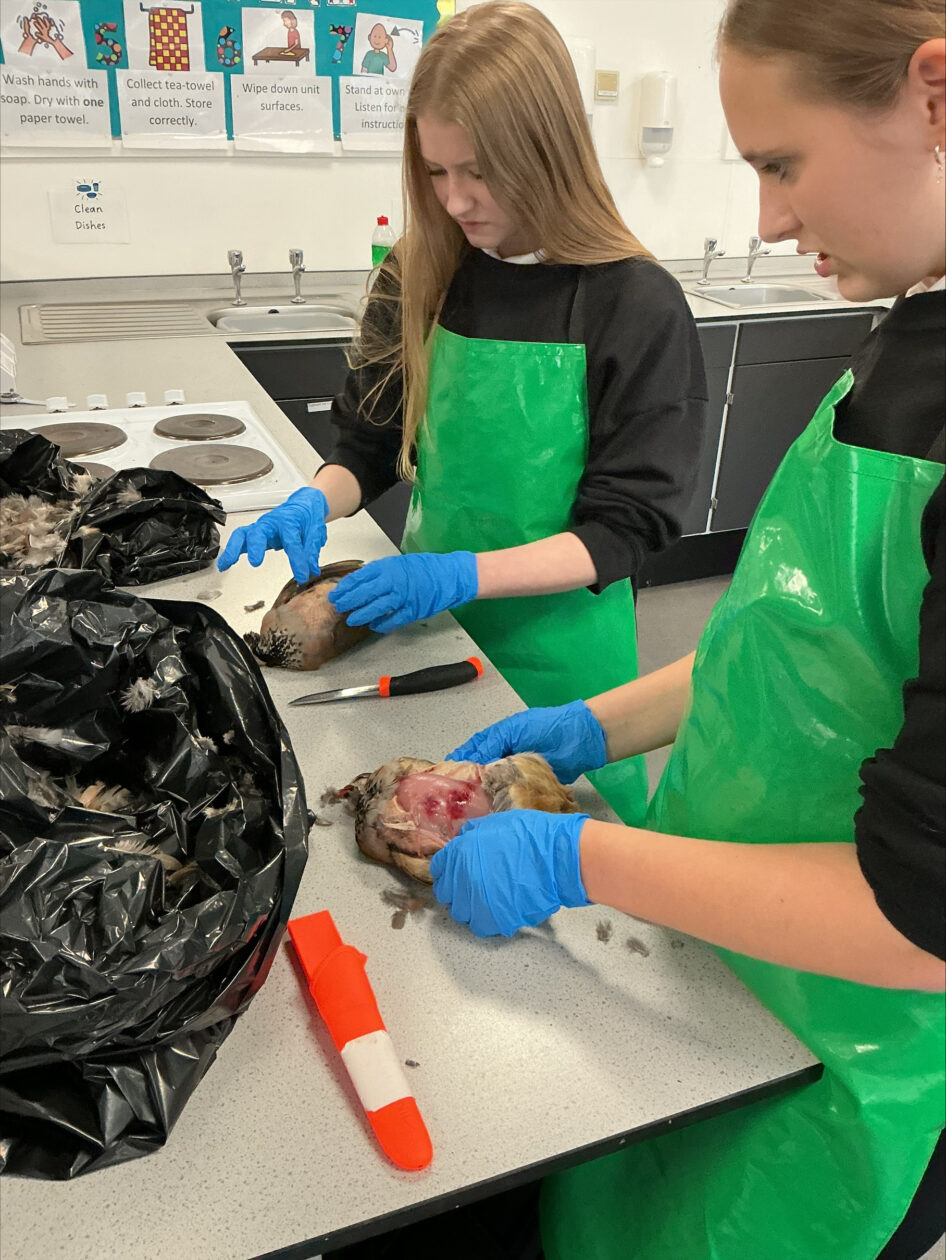 Learning to Prepare Game Meat