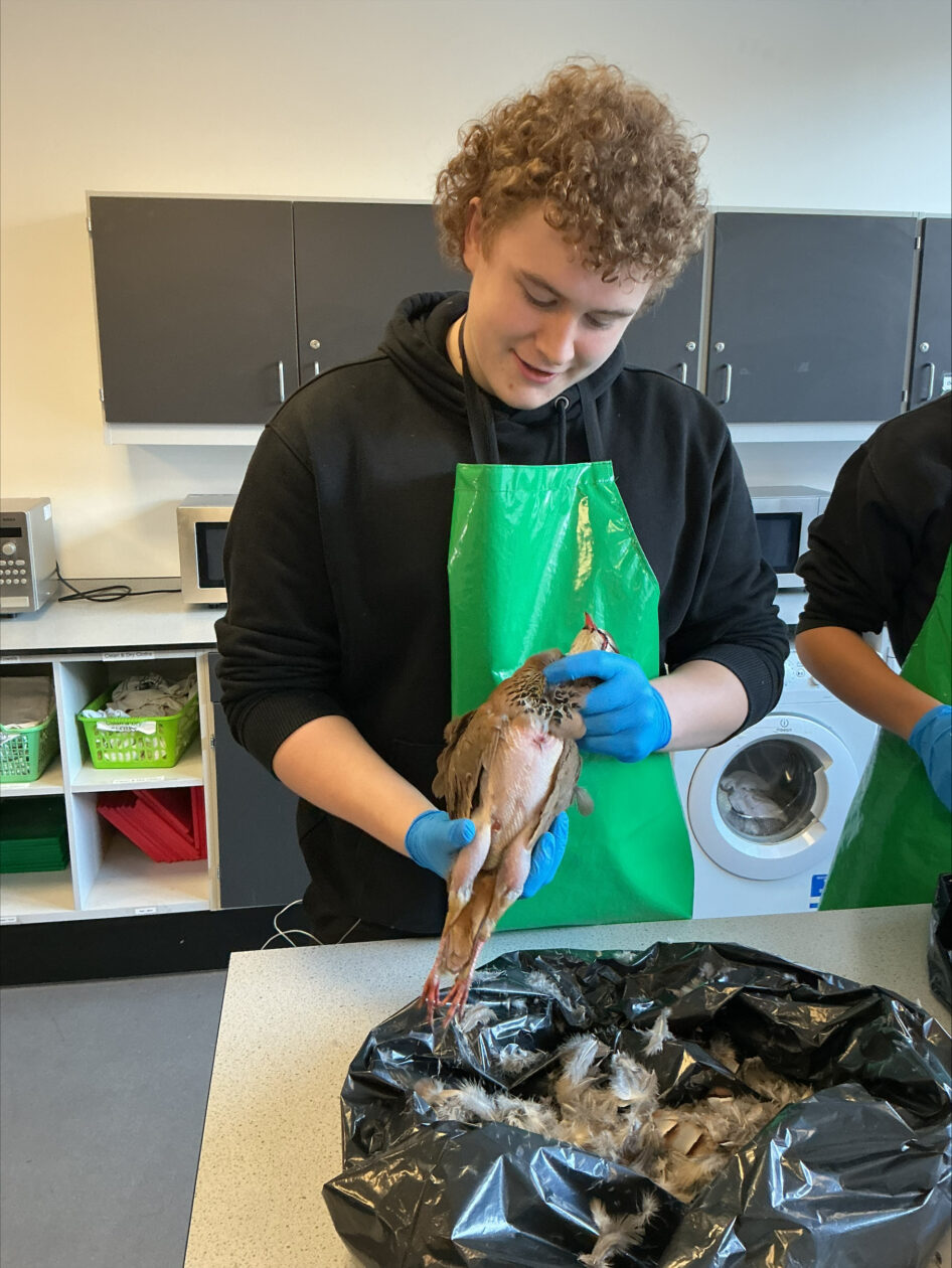 Learning to Prepare Game Meat