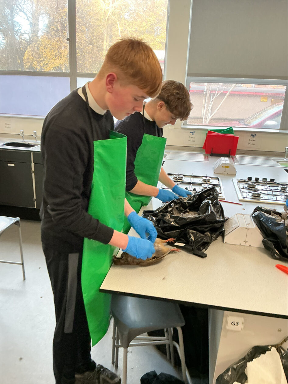 Learning to Prepare Game Meat