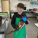 Learning to Prepare Game Meat