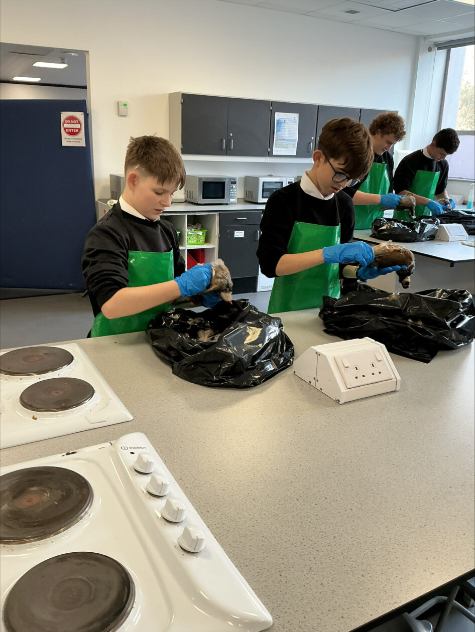 Learning to Prepare Game Meat