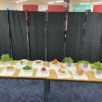 Home Economics Takeover