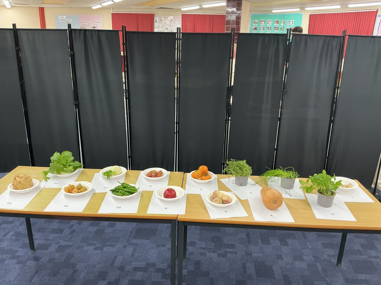 Home Economics Takeover