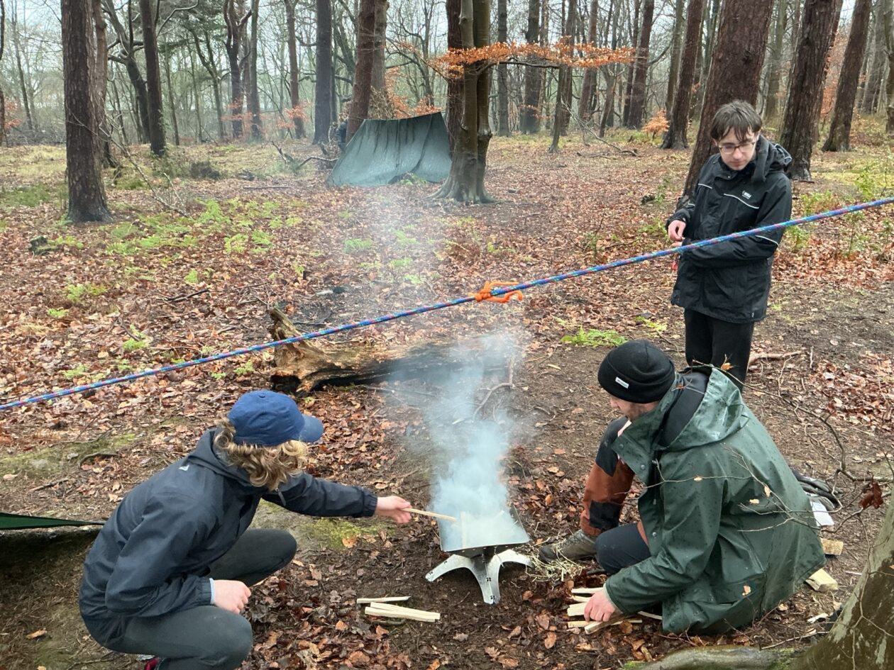 Adventures in the Forest!