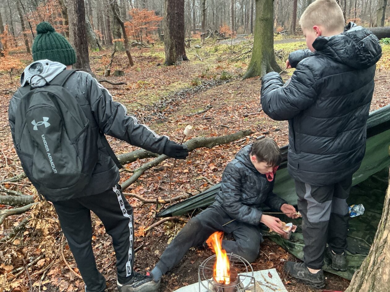 Adventures in the Forest!