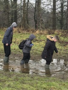 Adventures in the Forest!