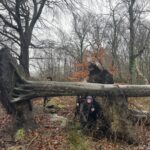 Adventures in the Forest!