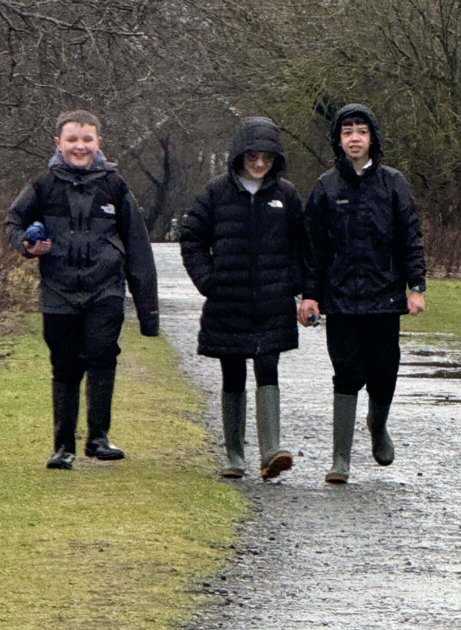 Adventures in the Forest!