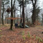 Adventures in the Forest!