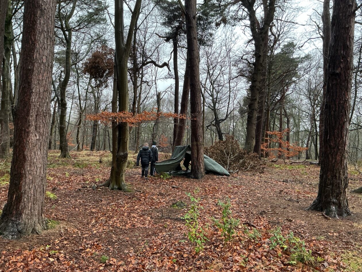 Adventures in the Forest!