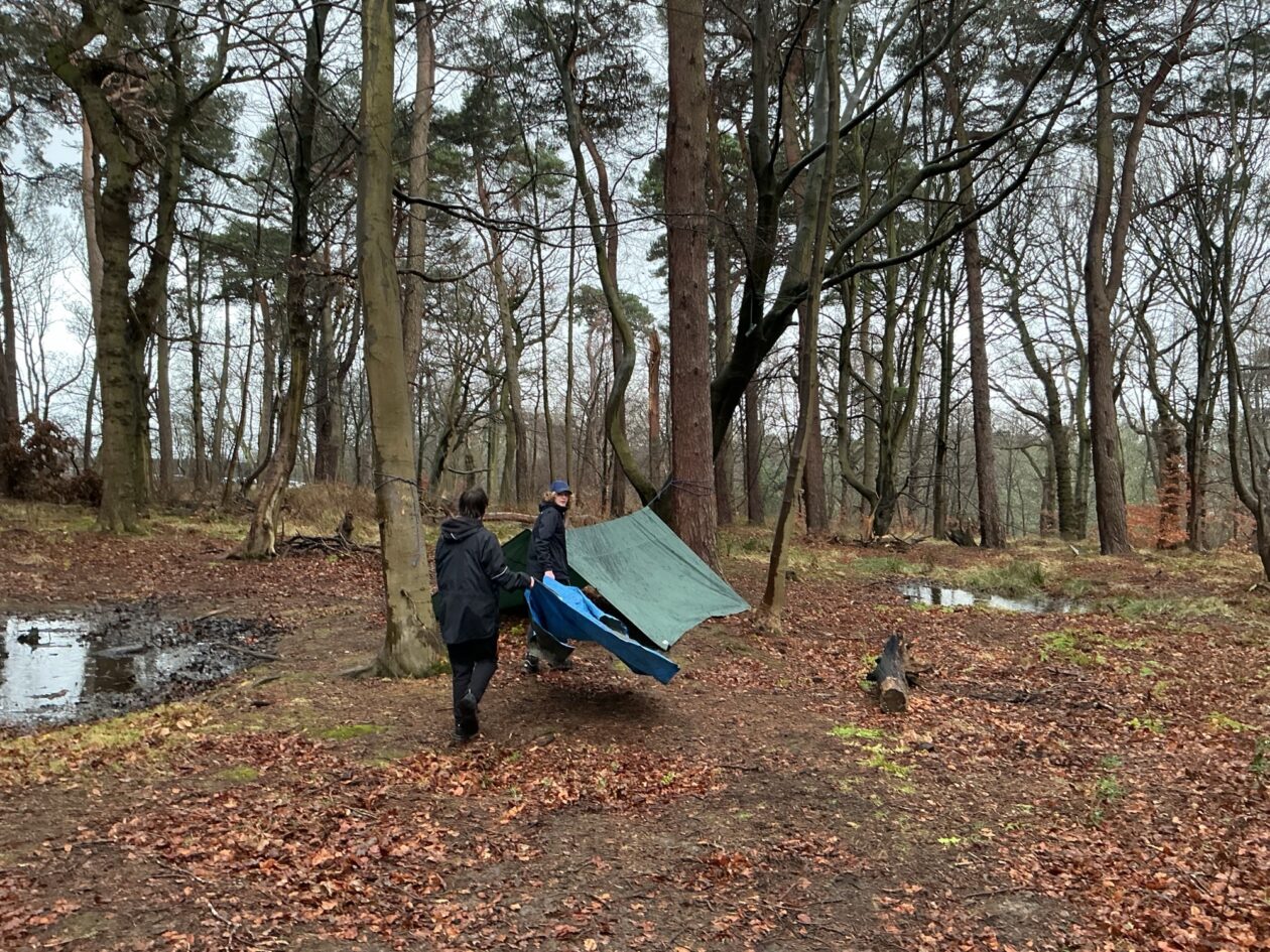 Adventures in the Forest!