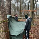 Adventures in the Forest!