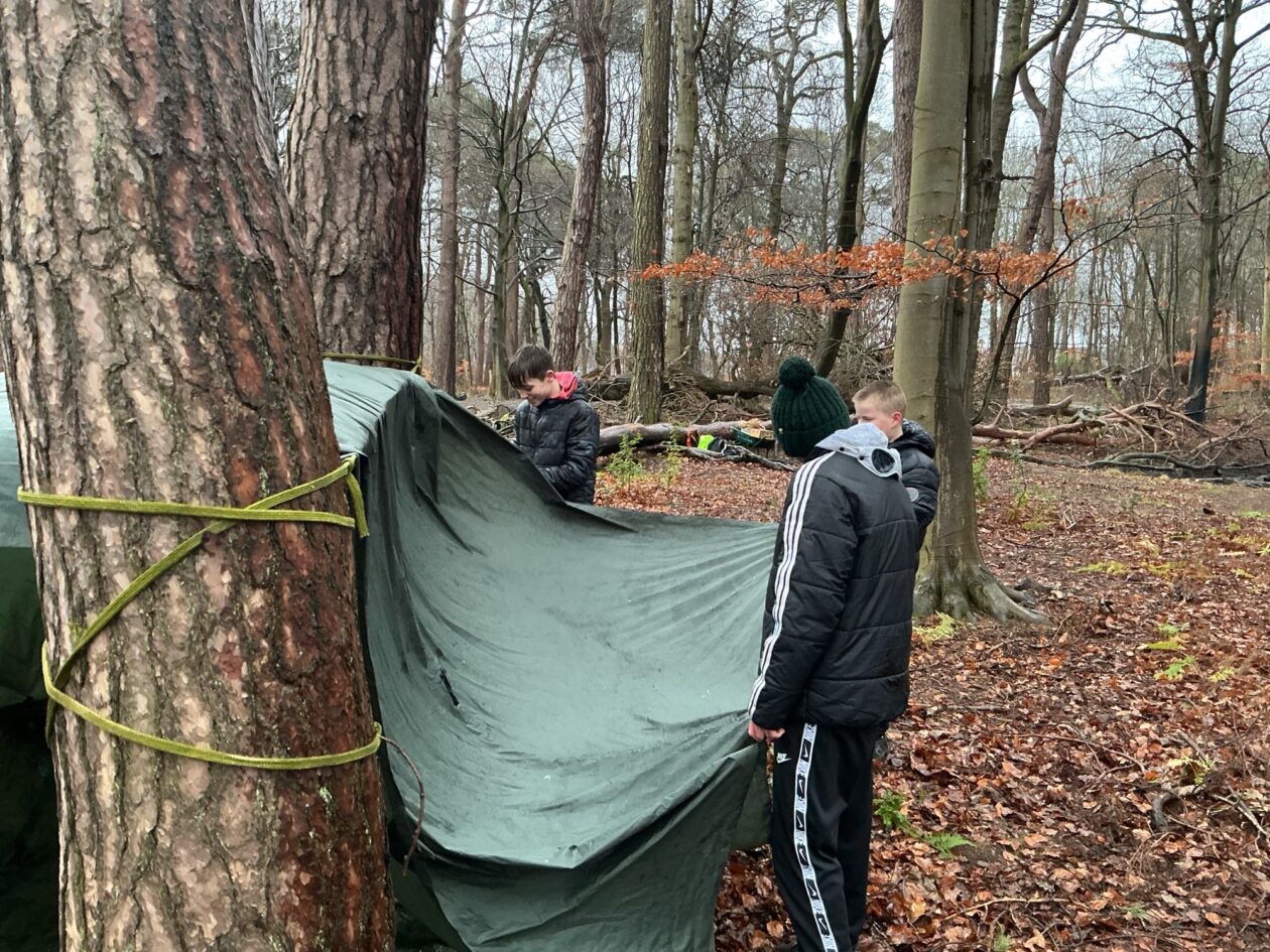 Adventures in the Forest!