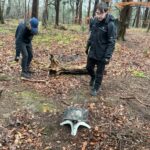 Adventures in the Forest!