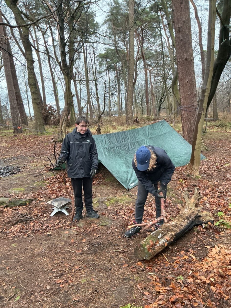 Adventures in the Forest!