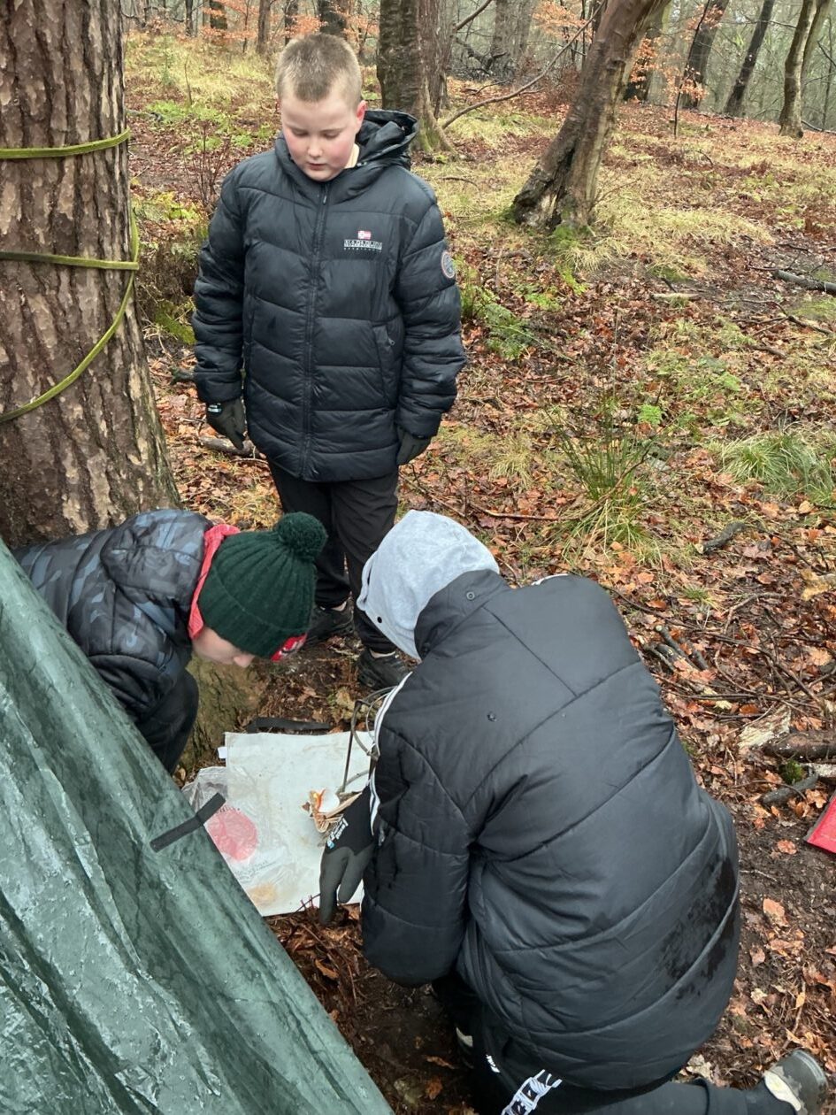 Adventures in the Forest!