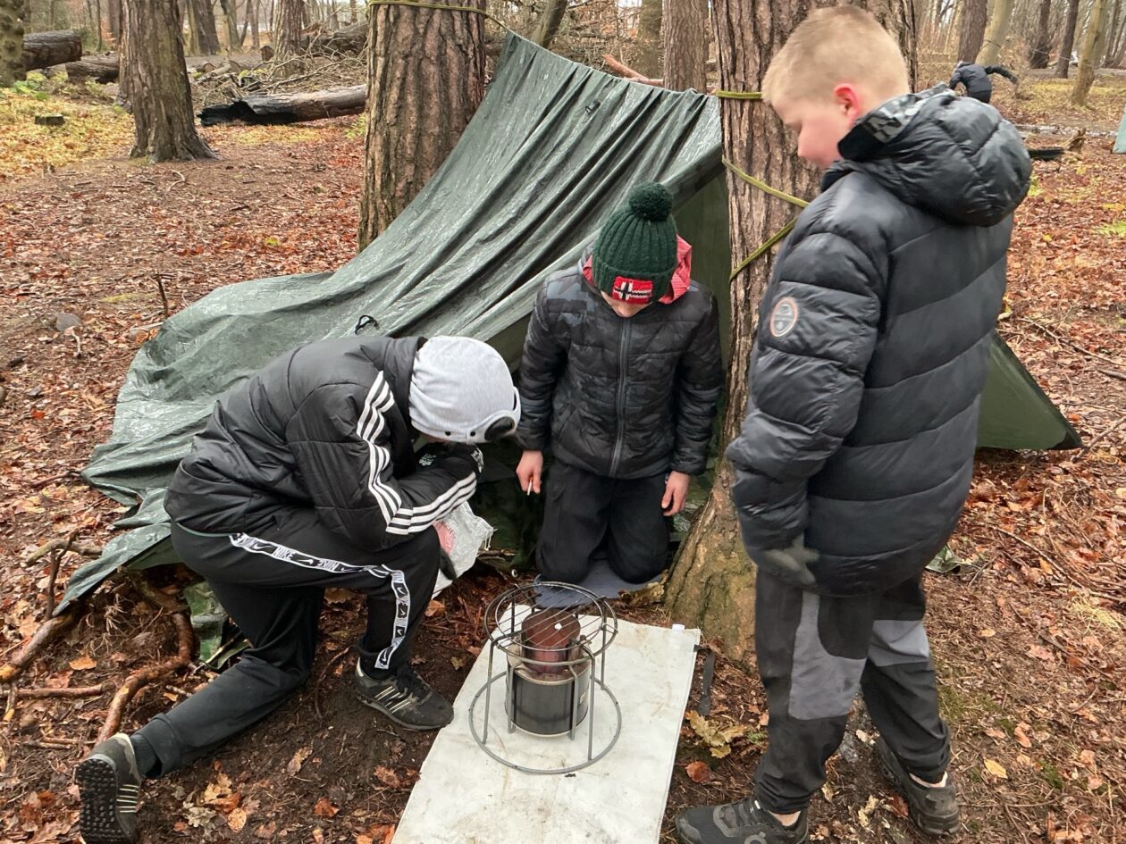 Adventures in the Forest!