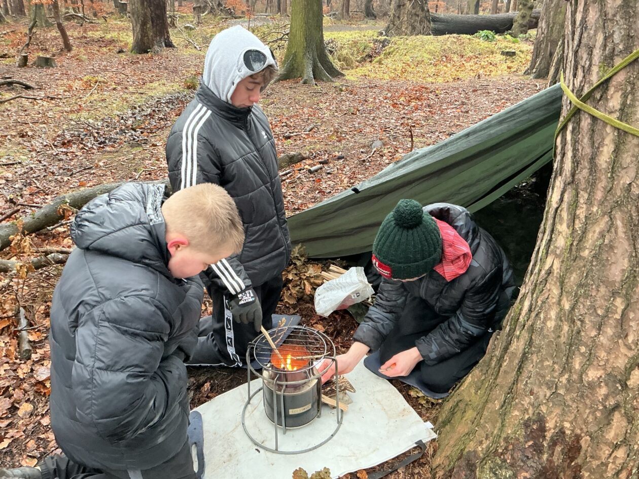 Adventures in the Forest!