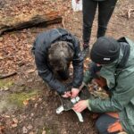 Adventures in the Forest!