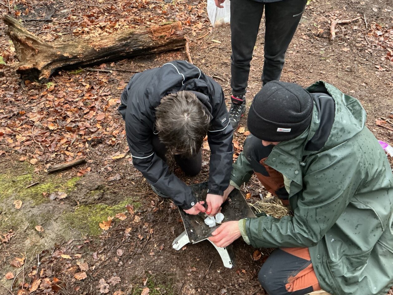 Adventures in the Forest!