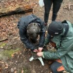 Adventures in the Forest!