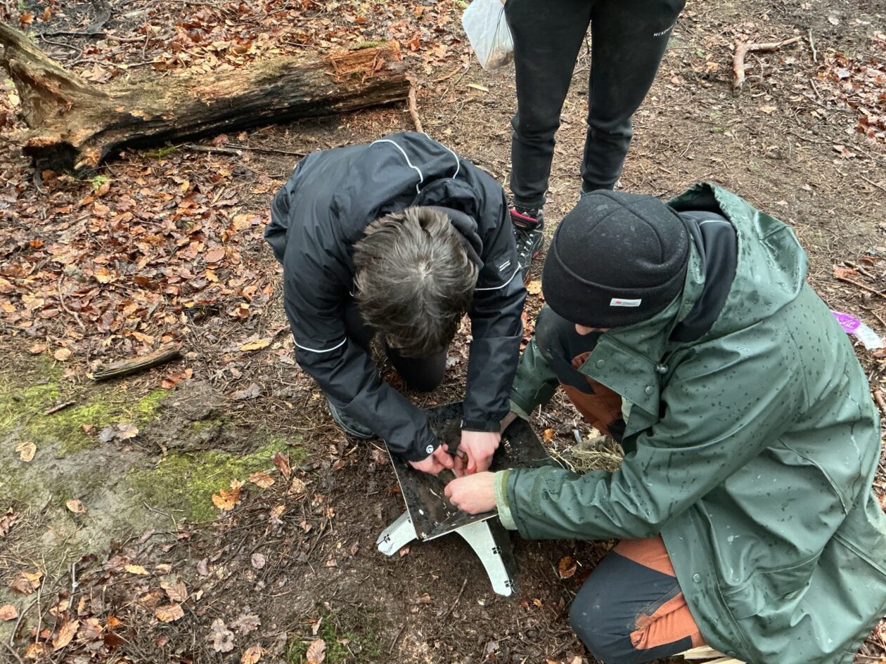 Adventures in the Forest!