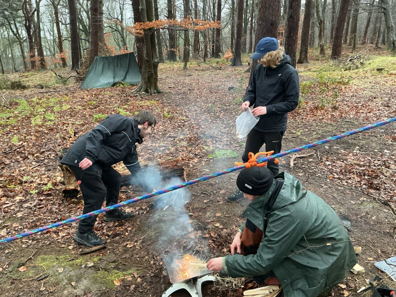 Adventures in the Forest!