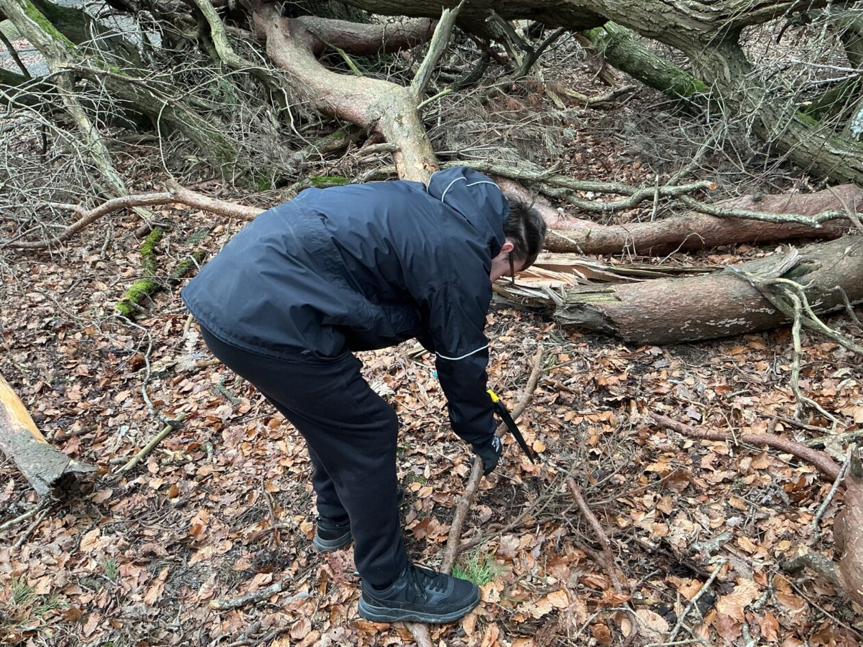 Forest School