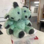 World Book Day at KHS